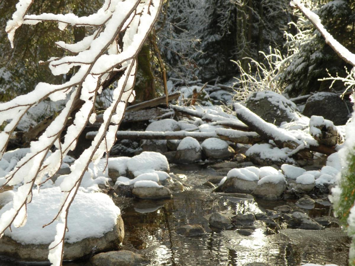 Urlaub Im Zirbenland Villa Obdach Bagian luar foto